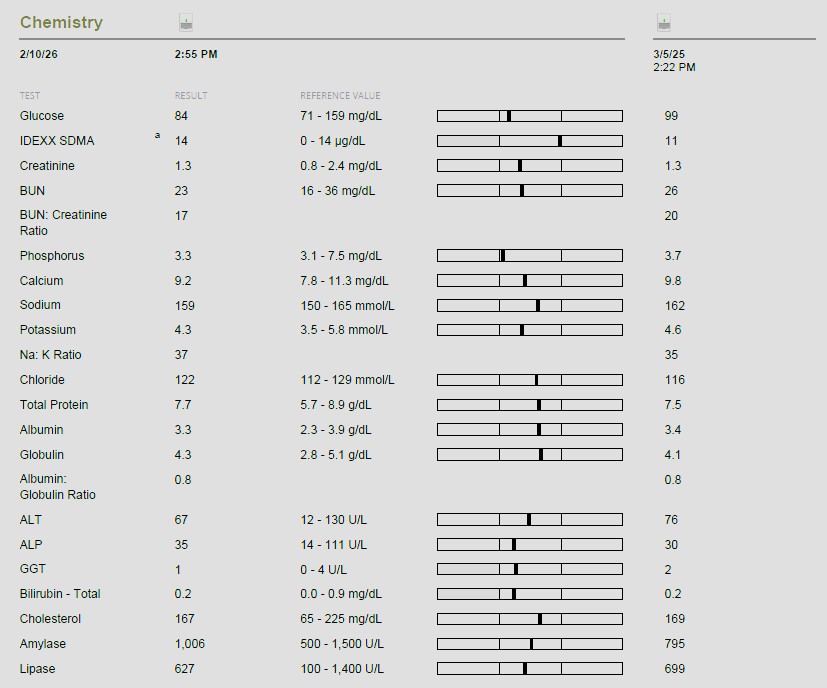 Example Cat Blood Test Report