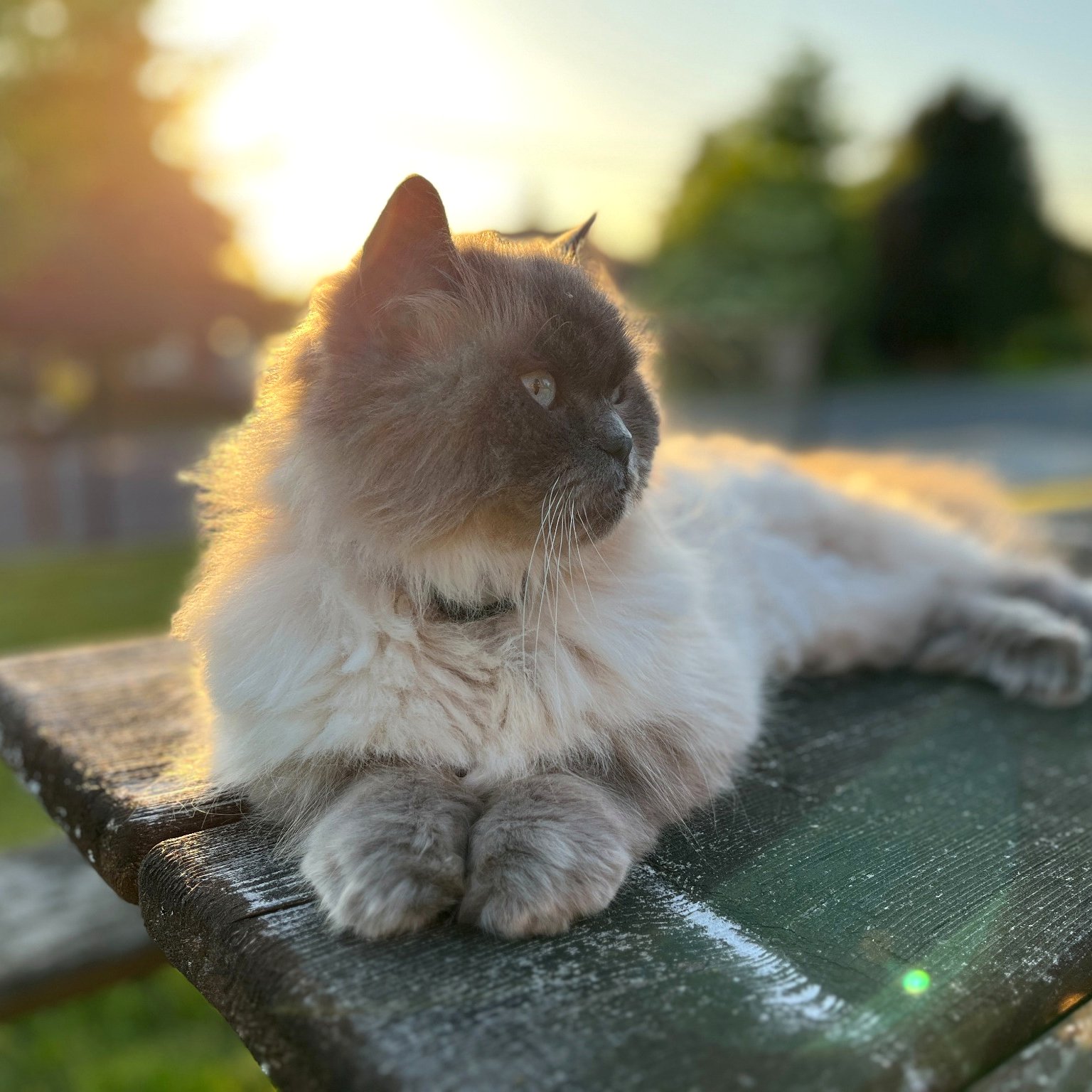 Numchoke and the feeling of coming home after roaming