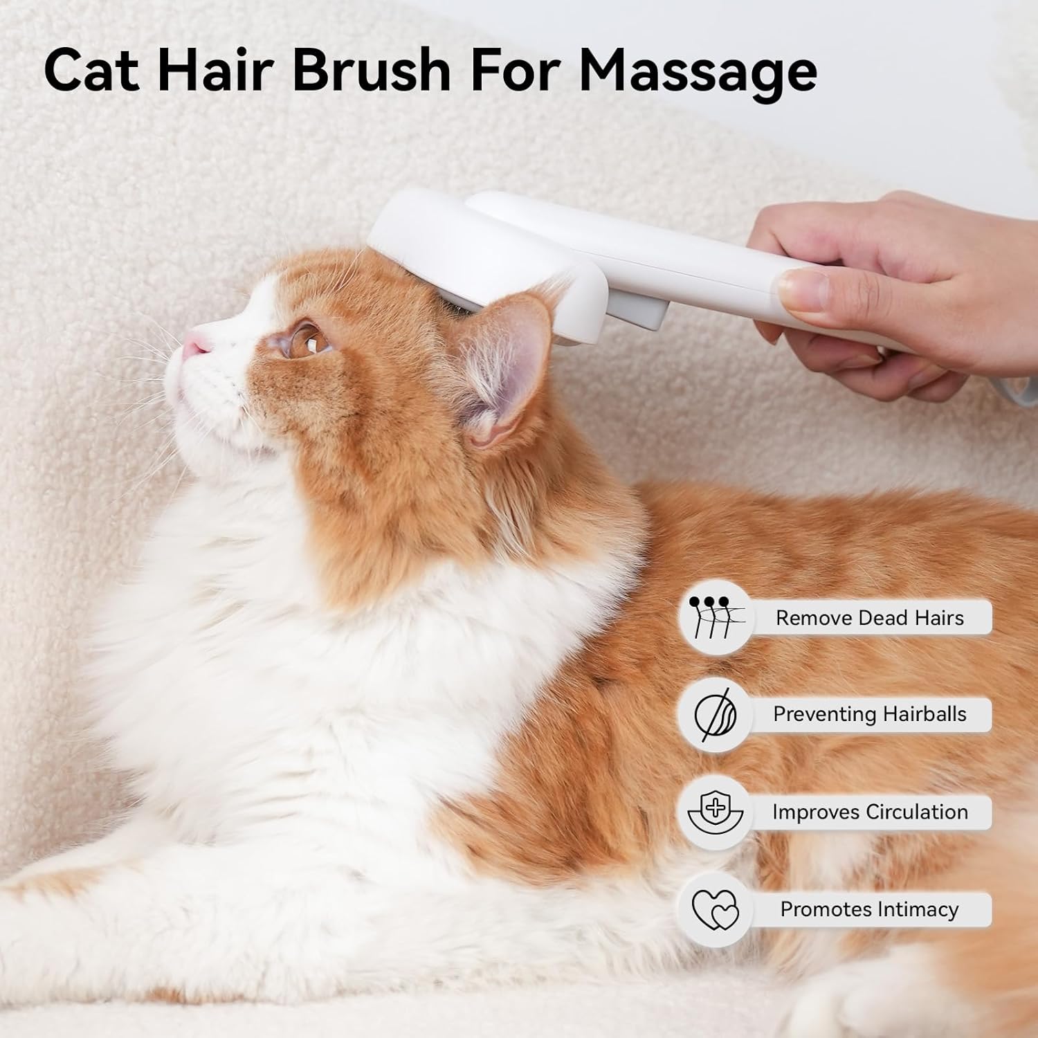 Basic Cat Grooming Kit